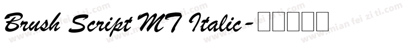 Brush Script MT Italic字体转换